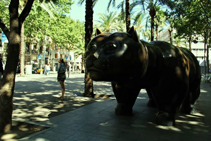 1000252_10151658848904234_1365965510_n