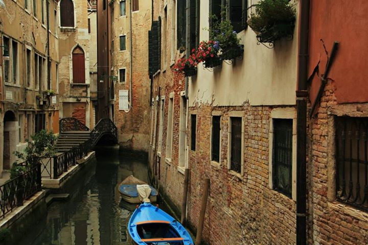 1000309_10151651812839234_1774498632_n