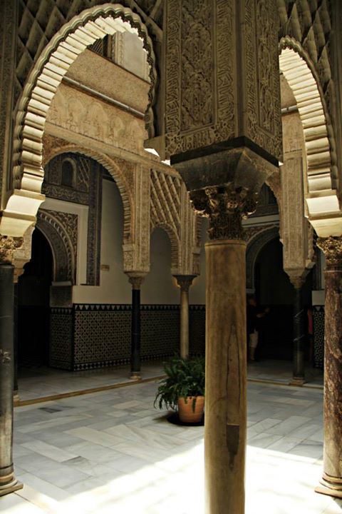 1004693_10151658766469234_1207418713_n