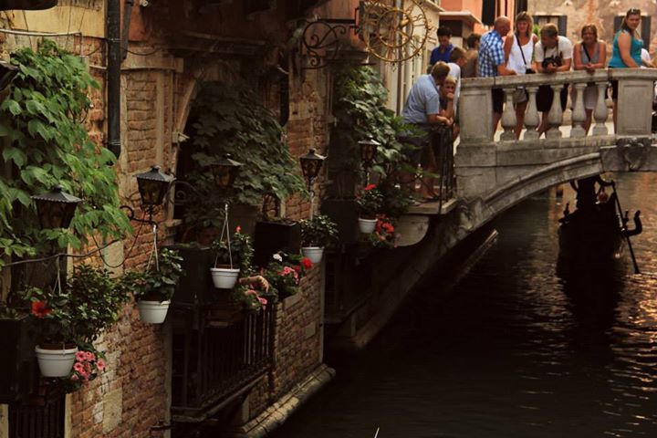 1151017_10151651812309234_1655724746_n