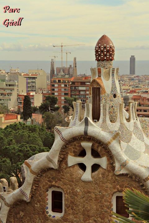 1795522_10152029035934234_877669308_n