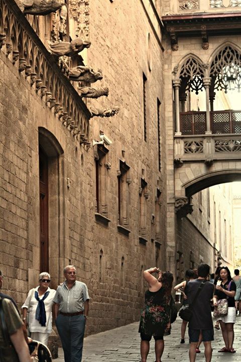 391455_10151041314924234_1925115171_n