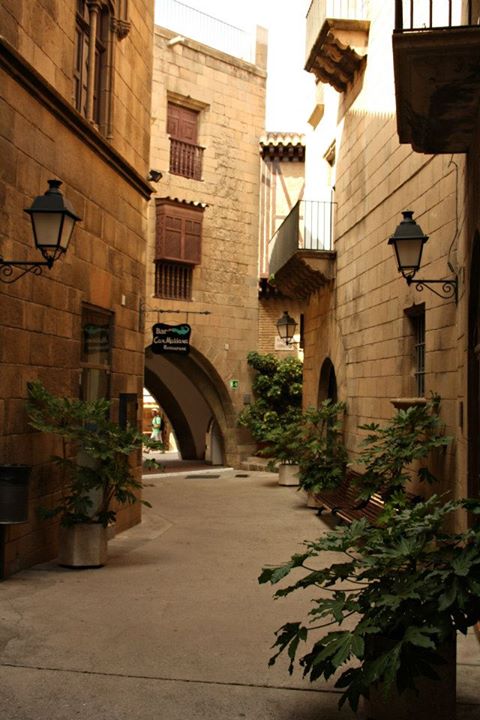 395893_10151041412269234_1792381618_n