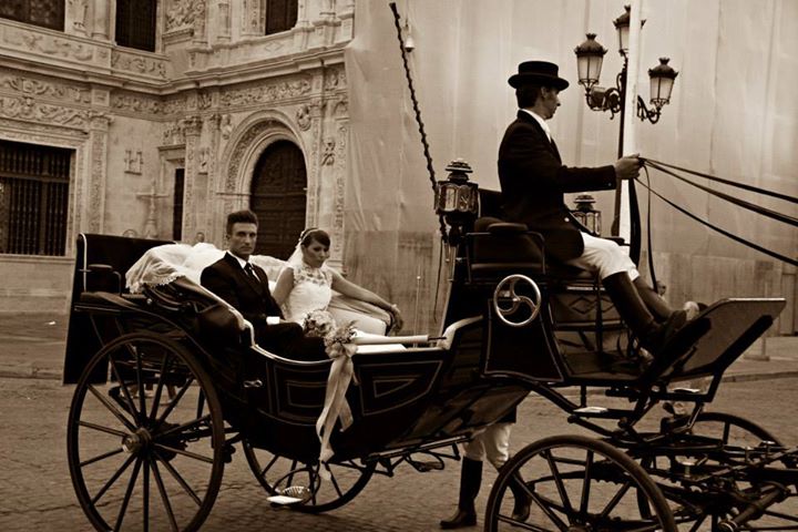 547503_10151658762704234_1290599471_n