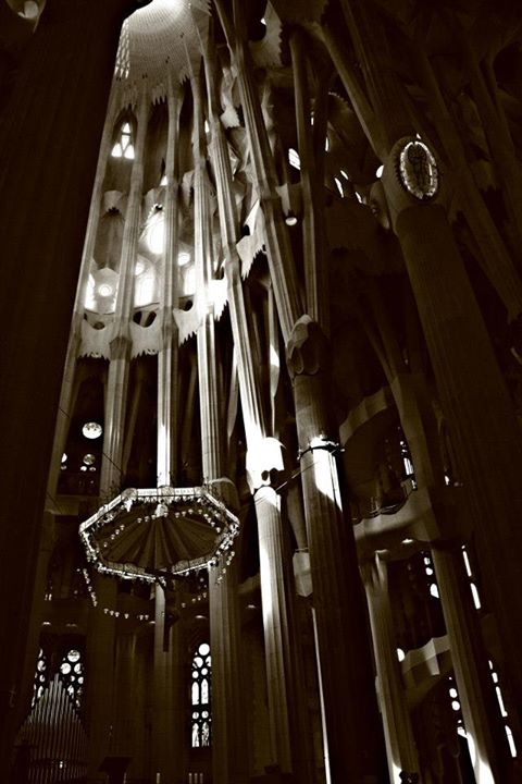 574621_10151041516109234_2003525231_n