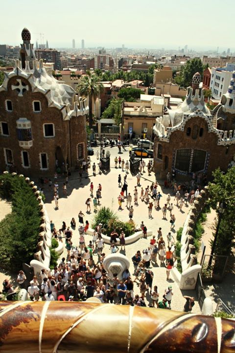 579972_10151041176839234_1583206365_n