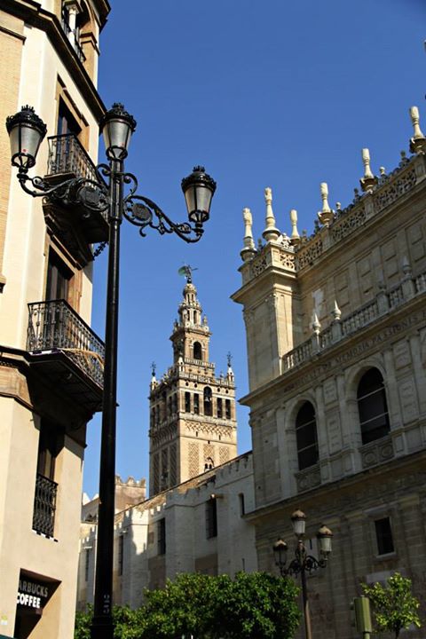 999445_10151658760319234_206422597_n