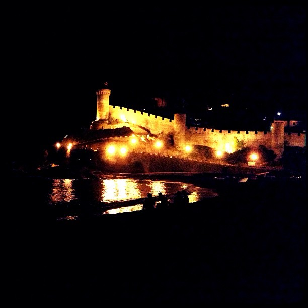 1001022_10151631856274234_23343325_n