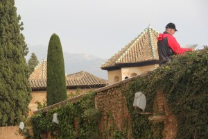 IMG_0331