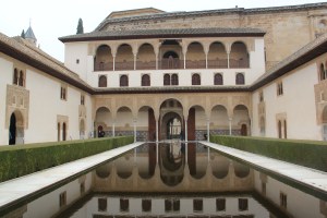 IMG_0347
