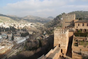 IMG_0416